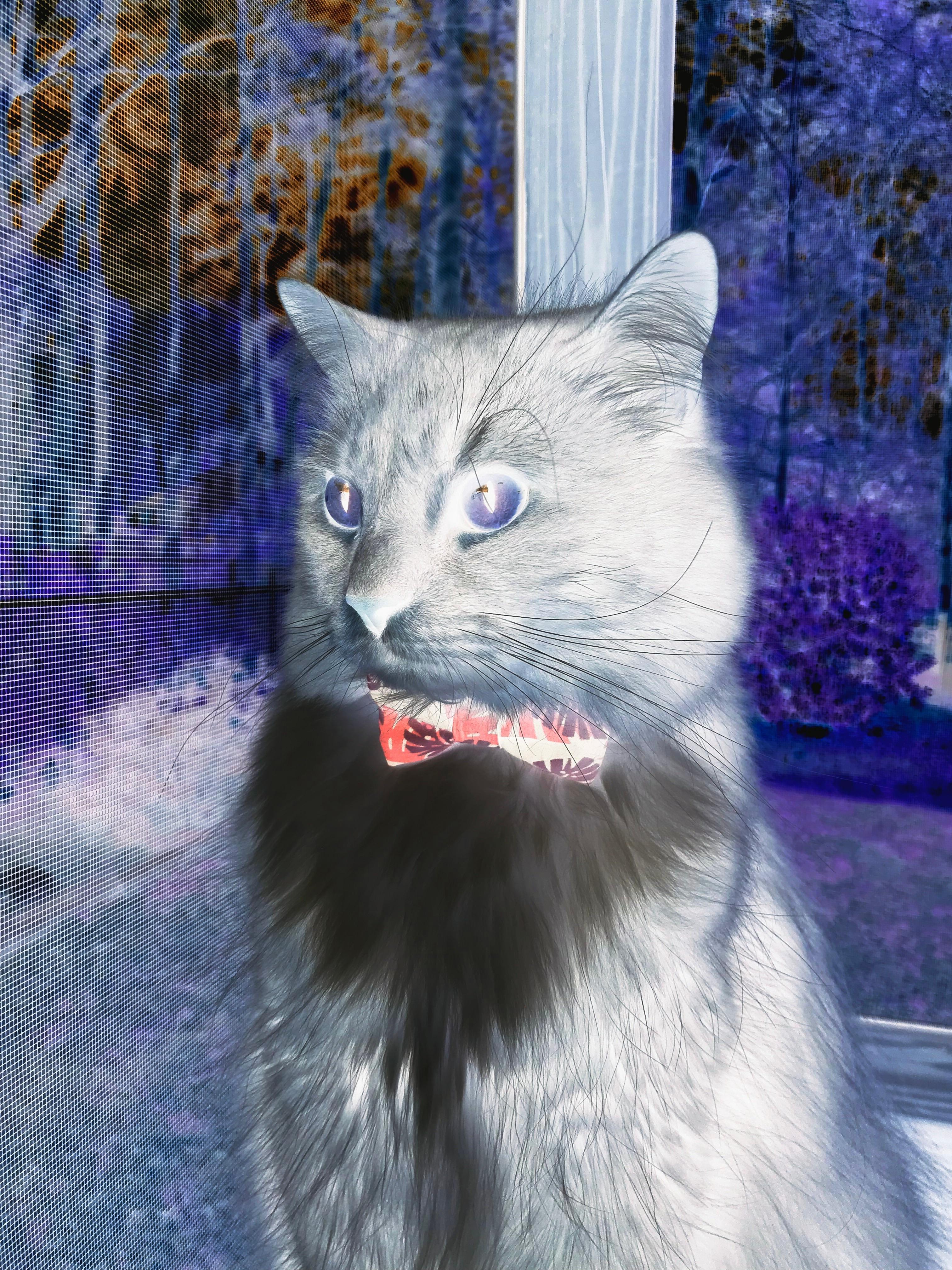 从配角到主角，鲁德在联合杯鏖战中如何撕掉稳定先生标签，上演总决赛高光时刻