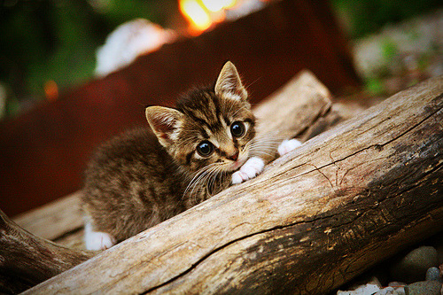 爱游戏官方入口-逆转协奏曲，泰国队翻盘丹麦队，辛杜高光表现的孤勇与回响