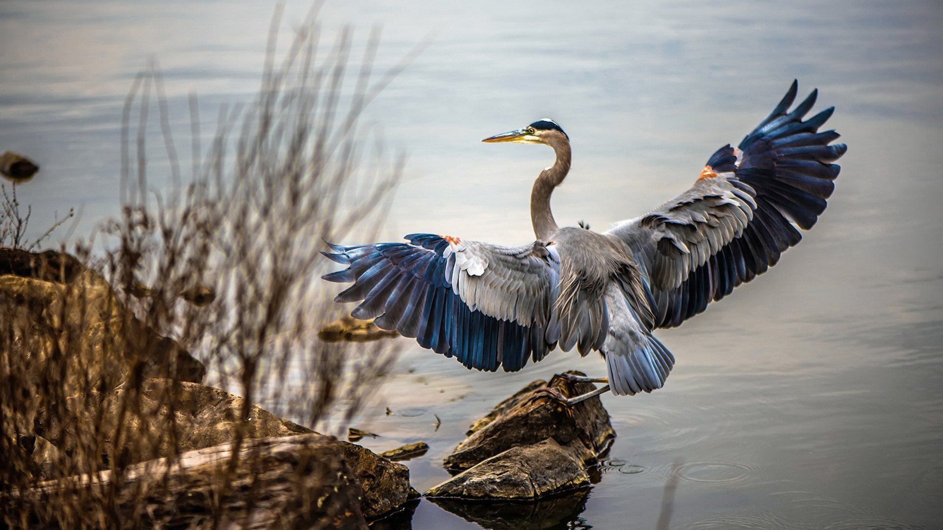 爱游戏娱乐-比利时掀翻马德里，库尔图瓦救主的唯一性之战