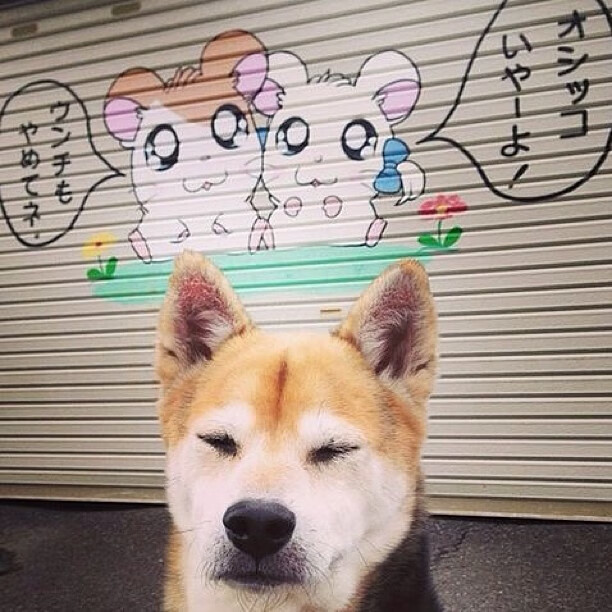 裁判哨声与外交封锁，当篮球场成为没有硝烟的战场