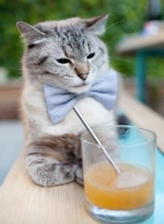 决胜时刻冻结东契奇，变脸核心伦纳德如何撕碎独行侠的美梦？