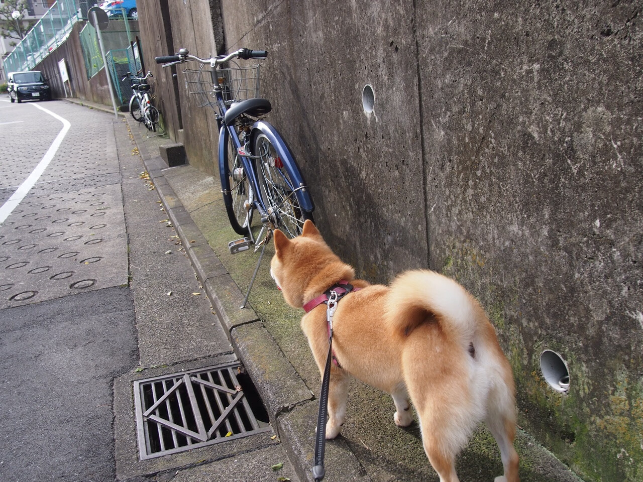 2026世界杯之夜，爱德华兹—攻防转换的唯一支点