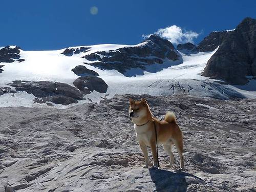 爱游戏娱乐-二十年跨越，马刺的带走与詹姆斯的接管，关键时刻的历史隐喻