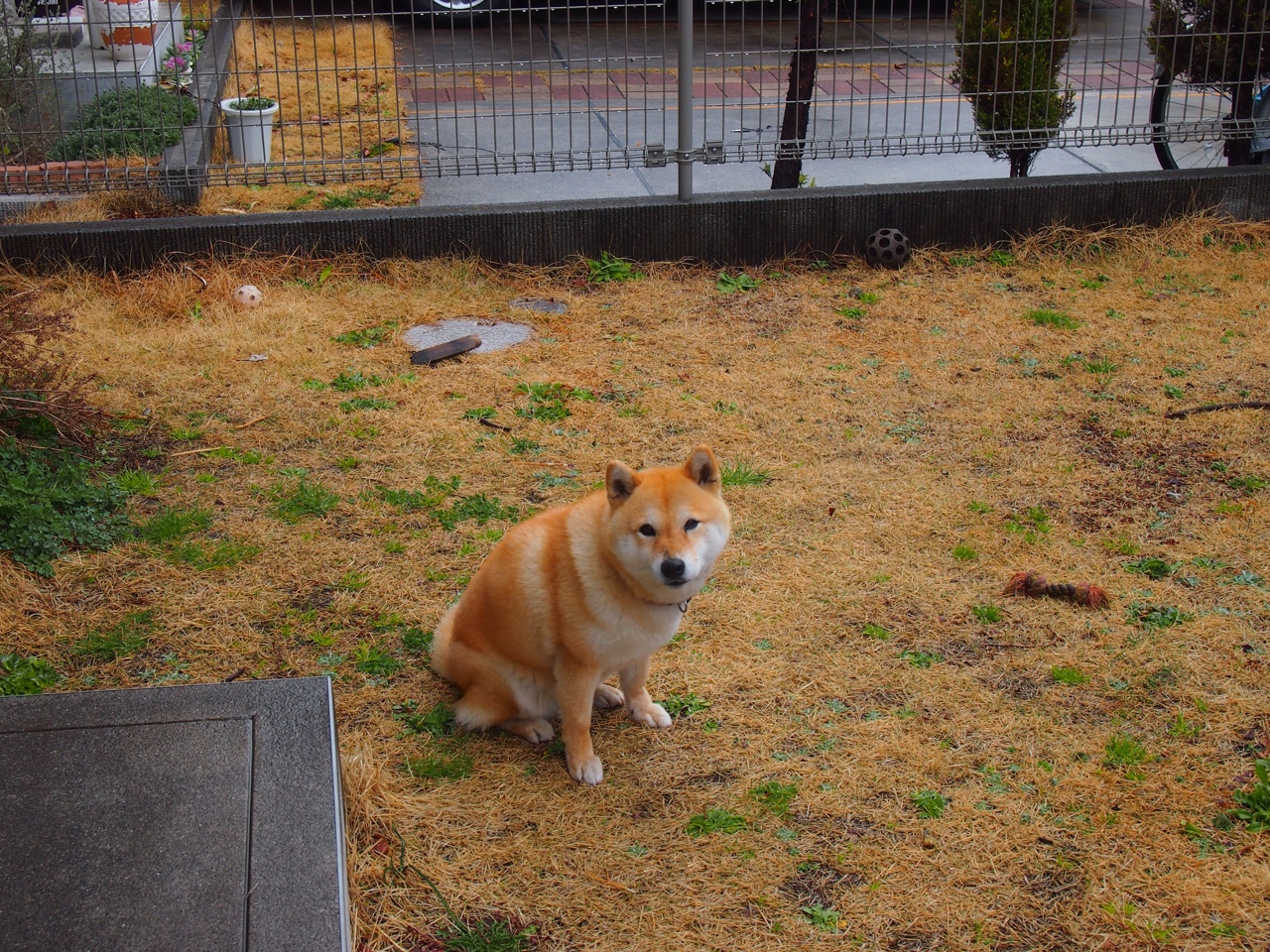 双重封锁的破冰者，从本泽马的利刃到牙买加的怒涛