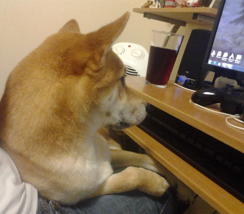 双城记，76人骤雨倾覆玫瑰城，塔图姆只手扭转北岸花园