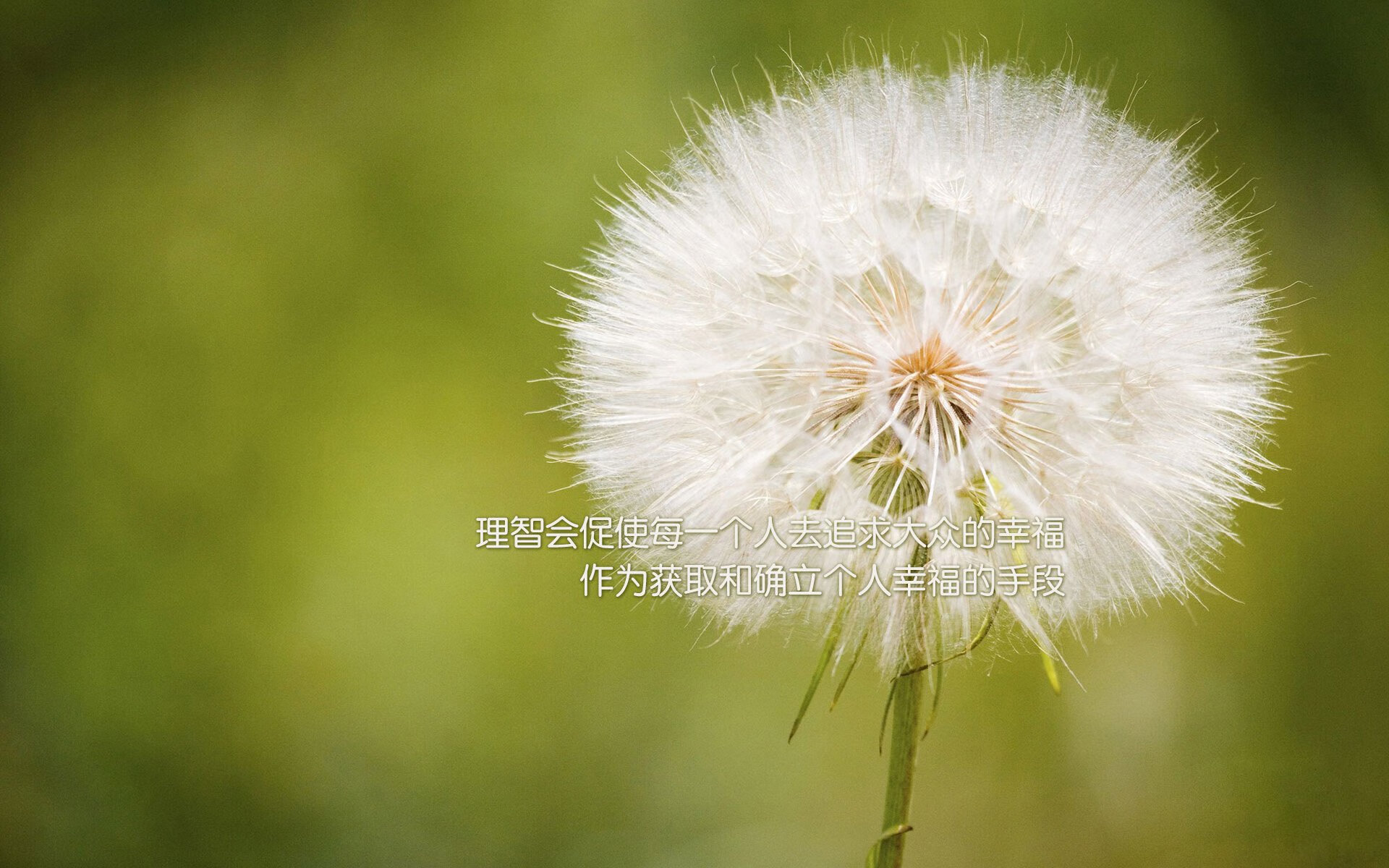 爆发与沉寂的奏鸣曲，当我们谈论格纳布里时，葡萄牙谈着别的