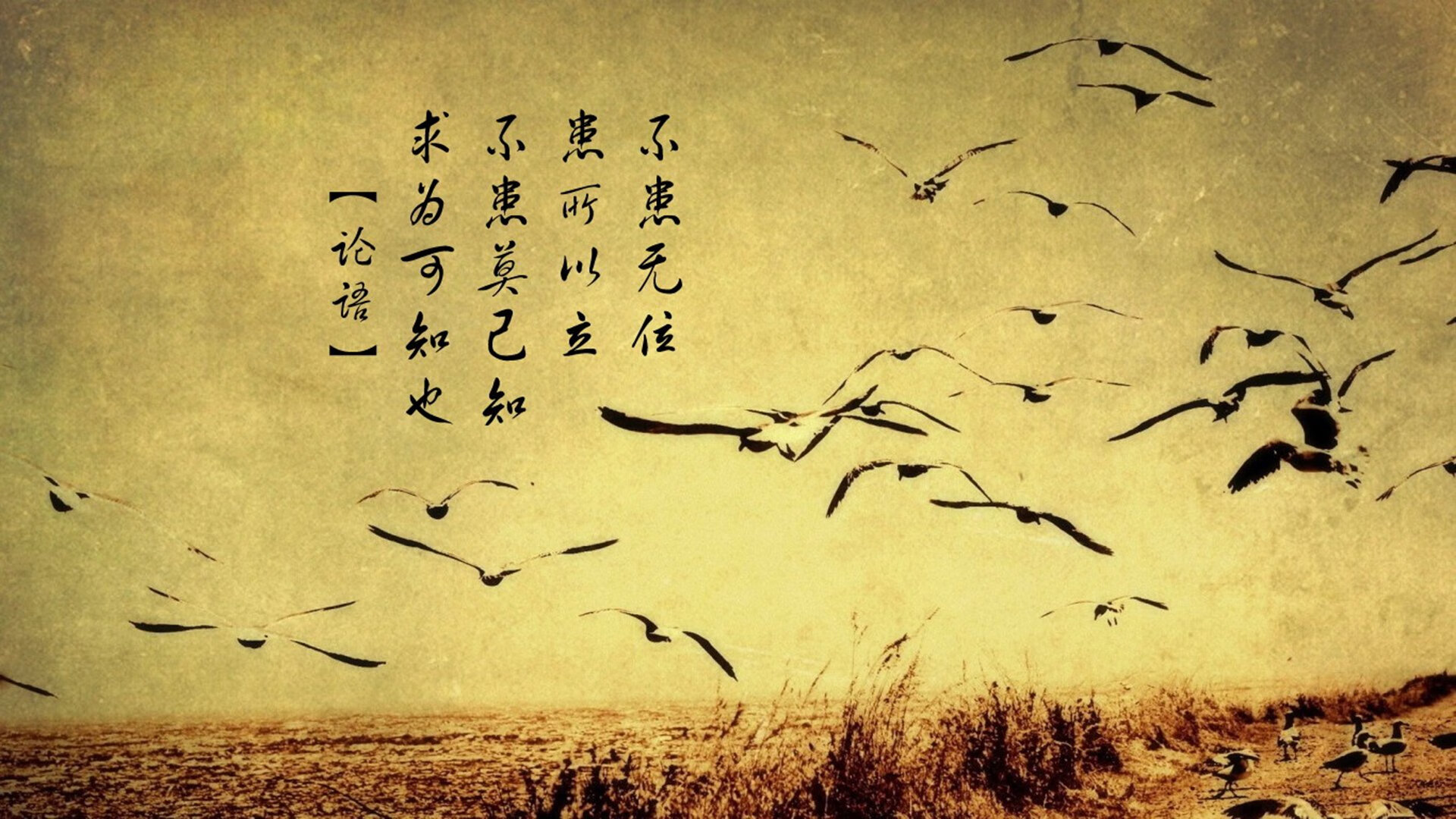 爱游戏入口-唯一之役，当莱万的神迹照亮C组暗夜，匈牙利与喀麦隆的生死战再无来者