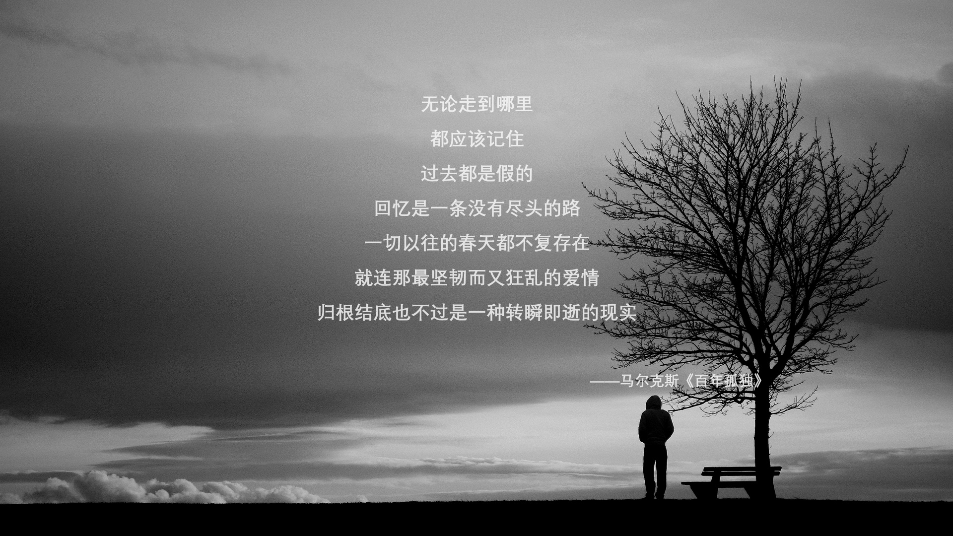 那一夜,枫叶红遍绿茵,2026世界杯半决赛,范戴克致命一击终结法兰西
